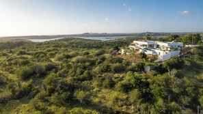 Una casa moderna con piscina, rodeada de exuberante vegetación y un lago al fondo.
