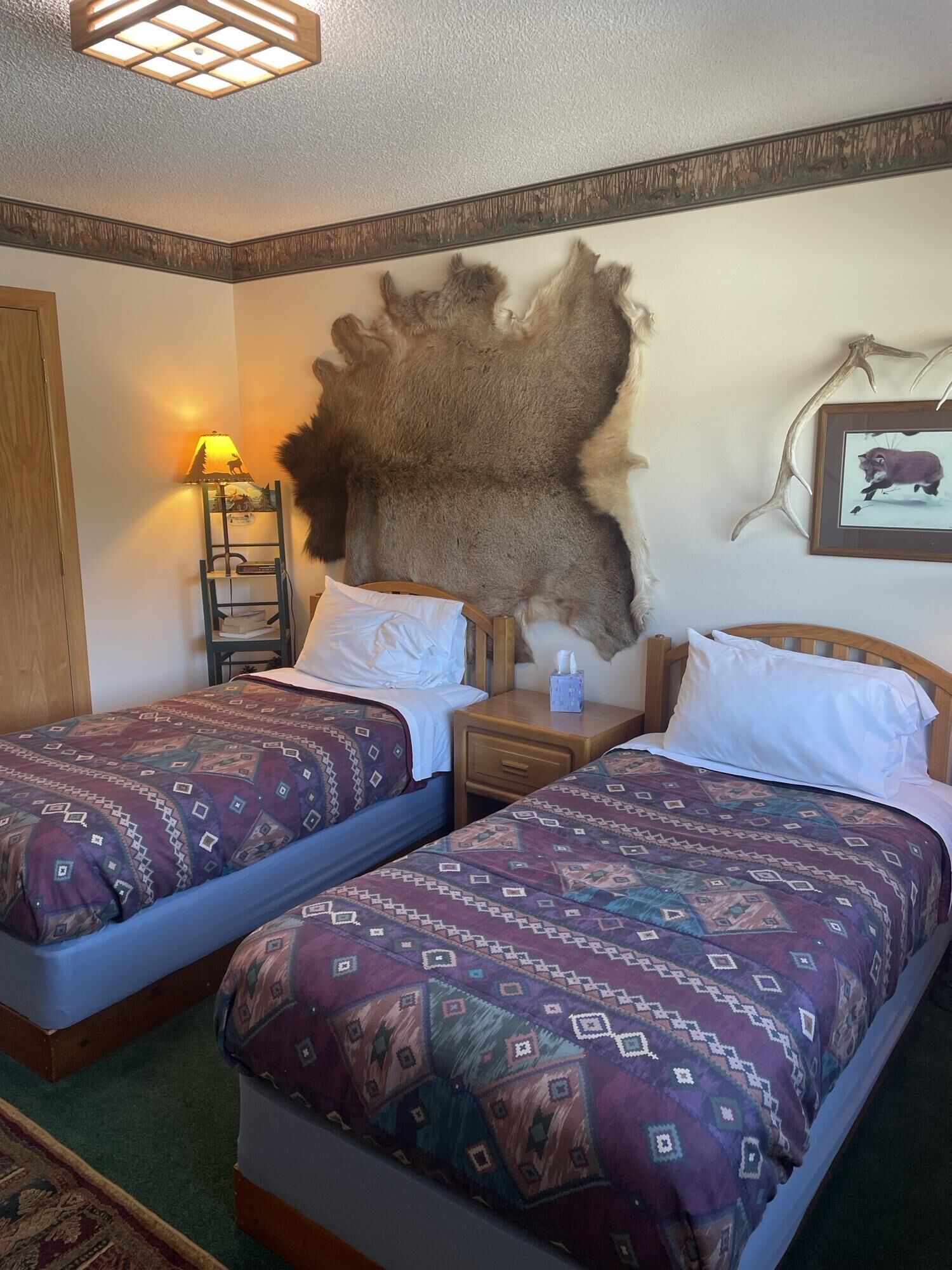 A hotel room with two beds, a large fur rug on the wall, a lamp, and a framed picture of a moose.