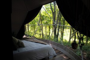 1 chambre, fer et planche à repasser, lit parapluie, Wi-Fi