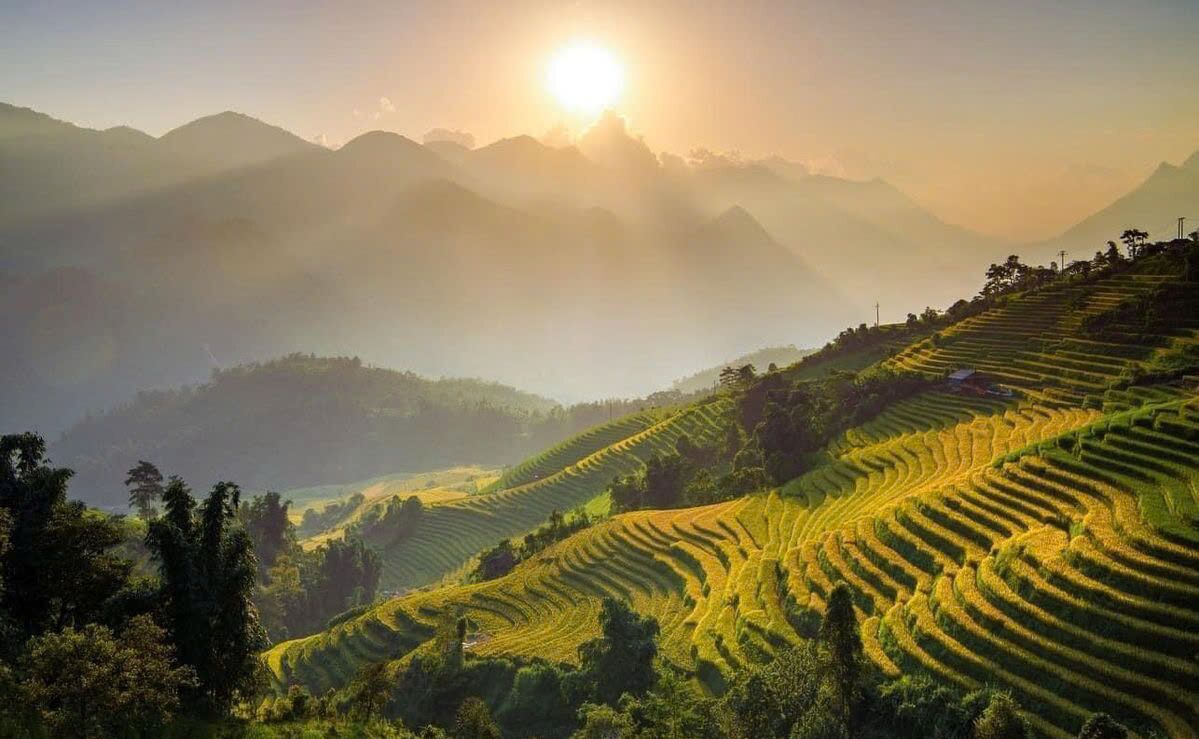 Terrazas con un amanecer de fondo.