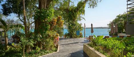 A pathway leading to a pool area with lounge chairs and umbrellas, surrounded by lush greenery and trees.