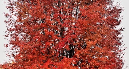 Root River Retreat