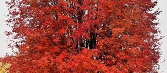 Root River Retreat