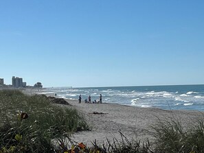 Beach - Beachfront Venice Condo, Pool on the Beach, Walk to Downtown, Sunset Views (Venice)