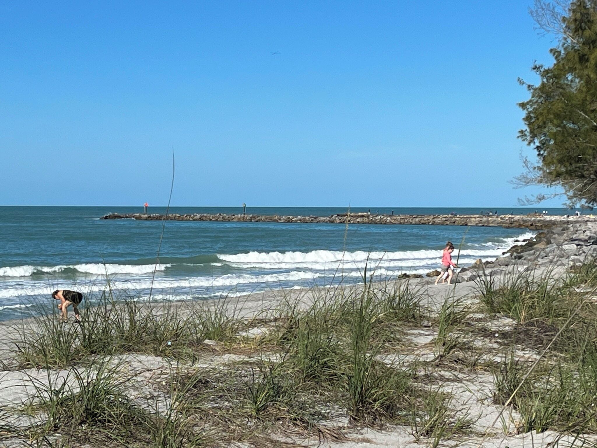 A beach with rocky shorelines, waves, and sparse vegetation.