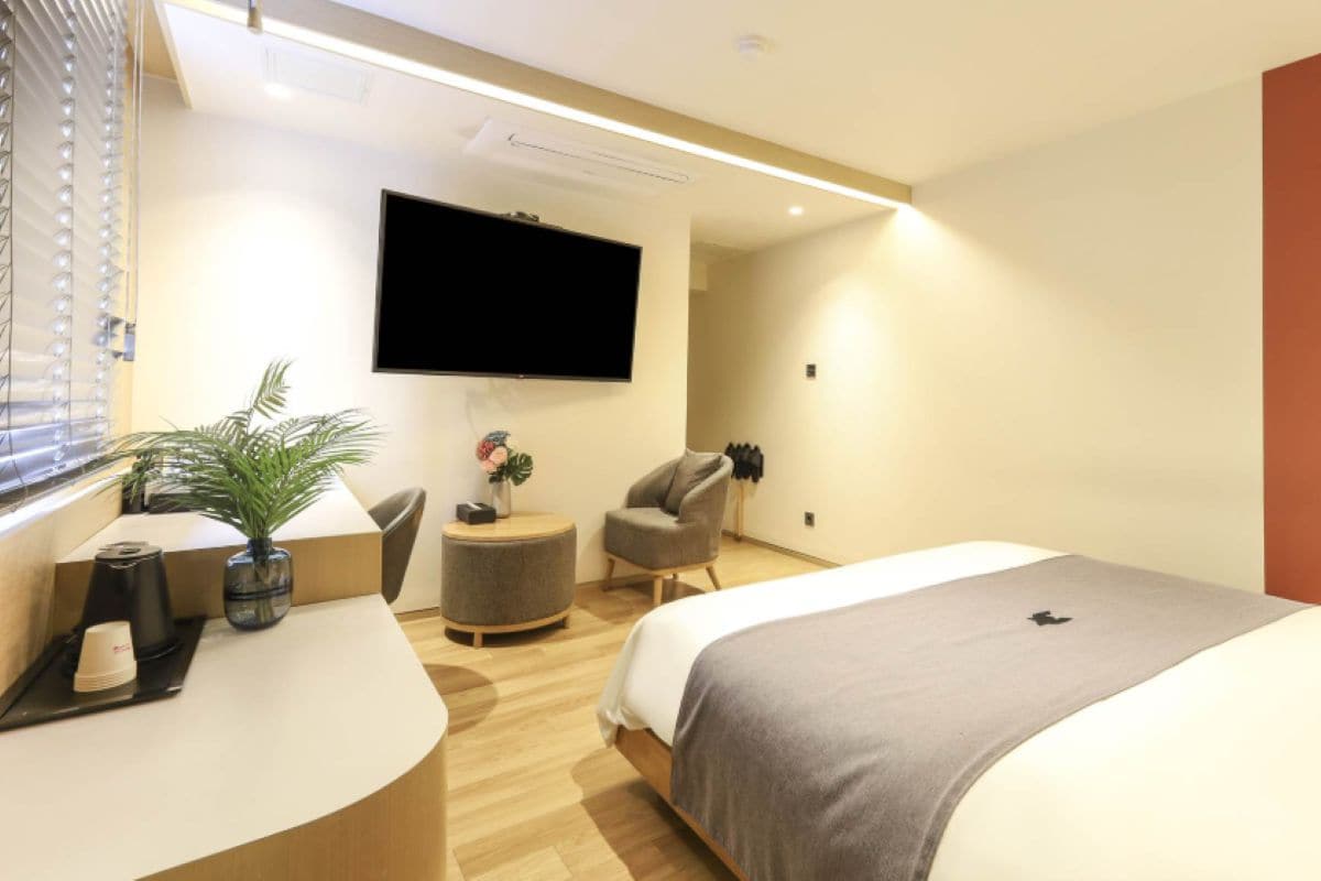 A modern hotel room with a bed, a desk, a chair, a TV, and a potted plant.