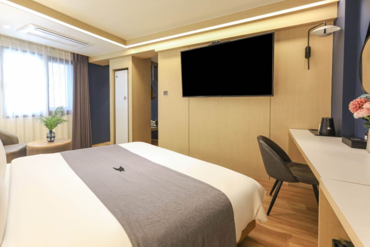 A hotel room with a bed, a desk, a chair, a television, and a plant.