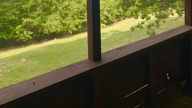 Quarto com uma grande janela que dá para uma área gramada com árvores e uma paisagem distante.