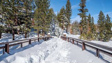 Jardines del alojamiento