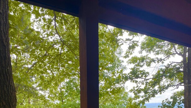 Eine Holzhütte mit Blick auf ein bewaldetes Gebiet durch ein Fenster.