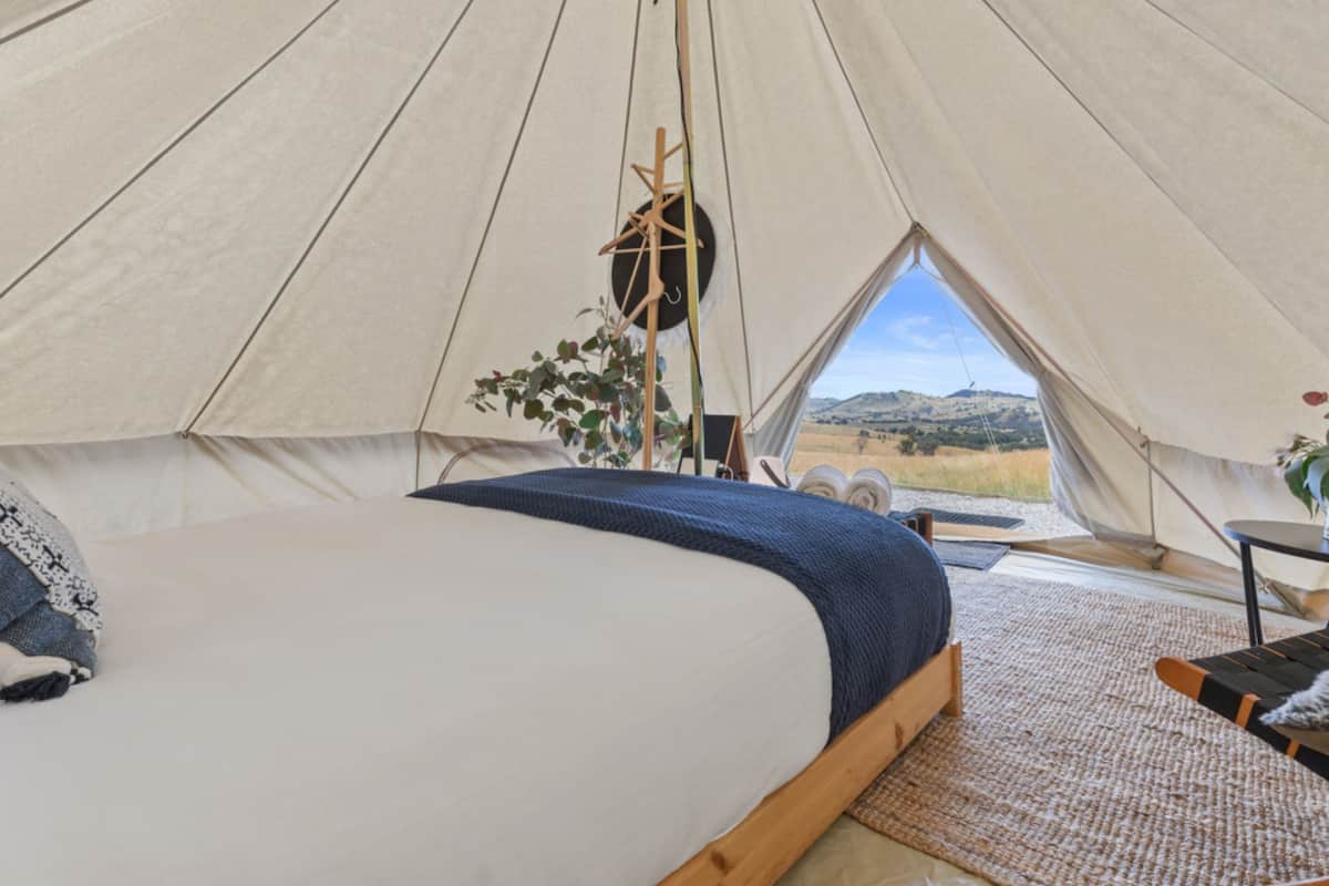 A tent with a bed, a hanging plant, and a view of the landscape.