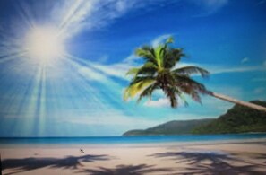 A beach scene with a palm tree and a clear sky.