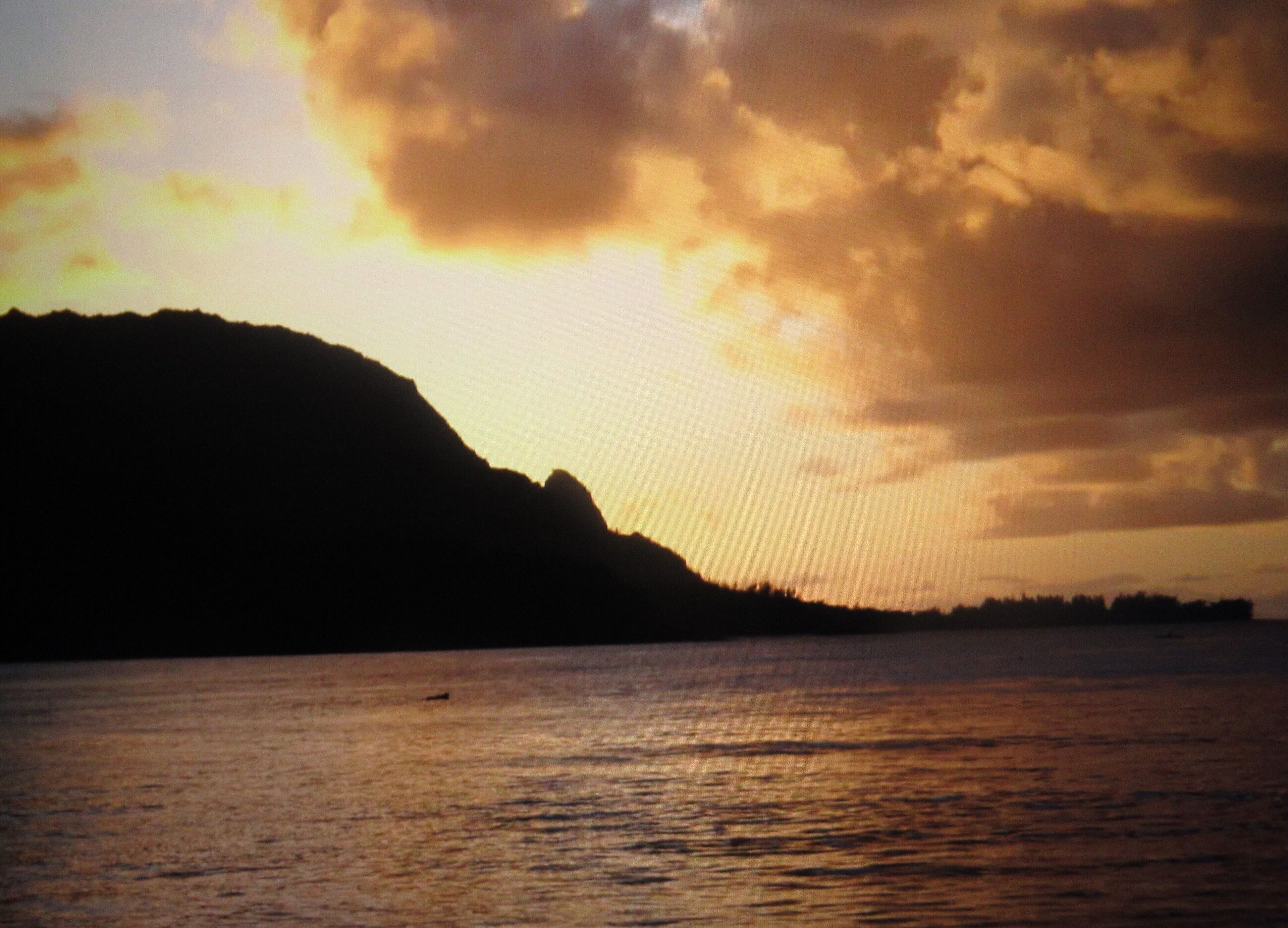 Princeville, Kauai.  Delightful Studio In Sandpiper Village.  Ten night maximum