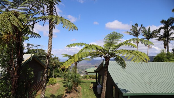 Un bungalow doté d’un toit végétalisé, entouré d’une végétation luxuriante et de palmiers, et offrant une vue sur des collines lointaines.