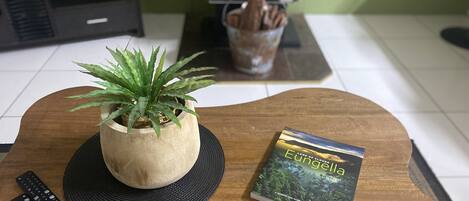 A wooden table with a potted plant, a remote control, and a book titled 'Land of Climates'.