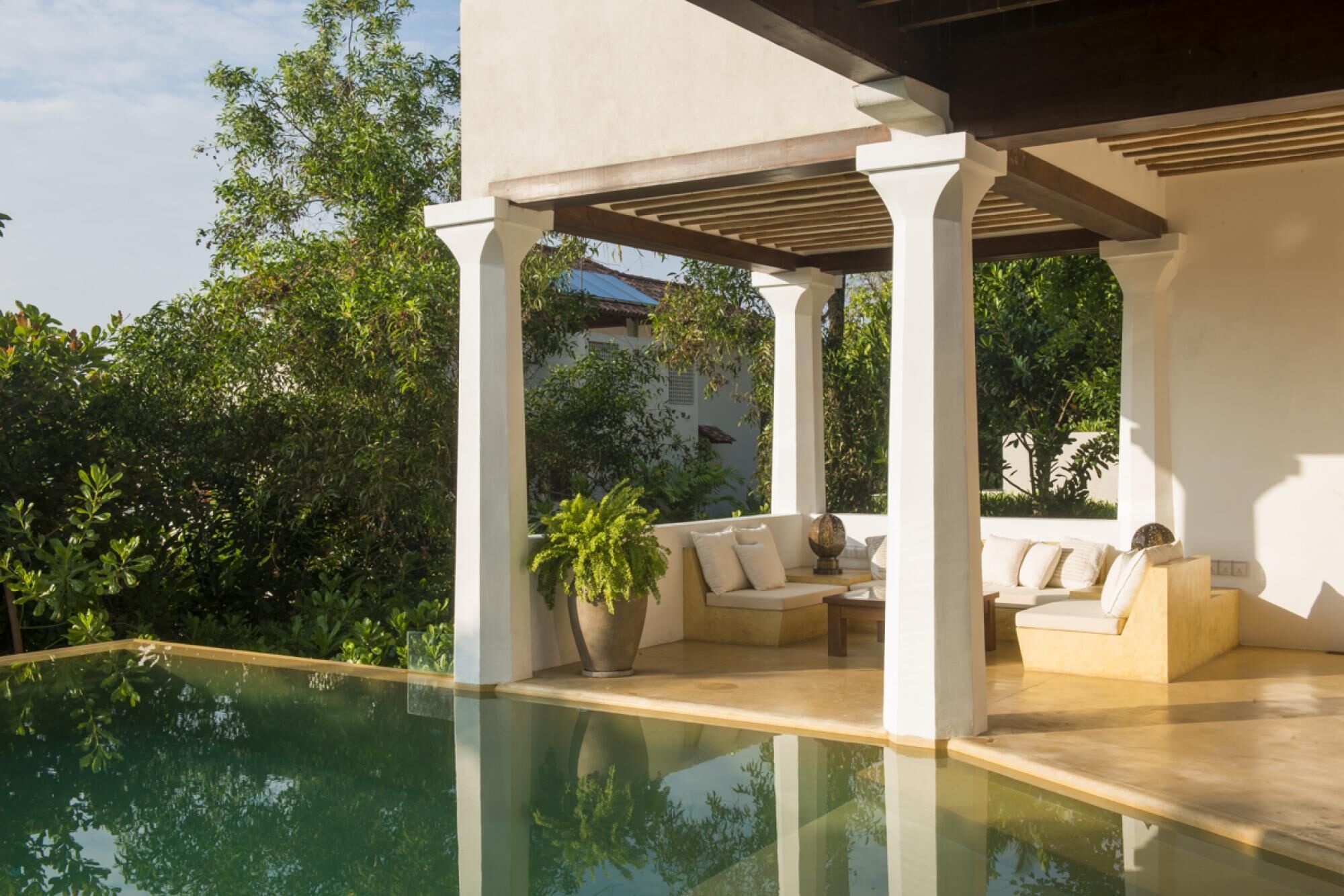 Un espace aménagé au bord de la piscine, avec un coin salon abrité, une grande plante en pot et une vue sur la végétation environnante.