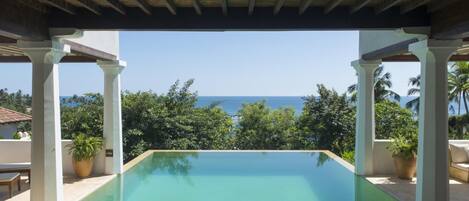 A rectangular pool with a clear view of the ocean and palm trees in the background.