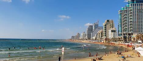 Apartment | 1 bedroom