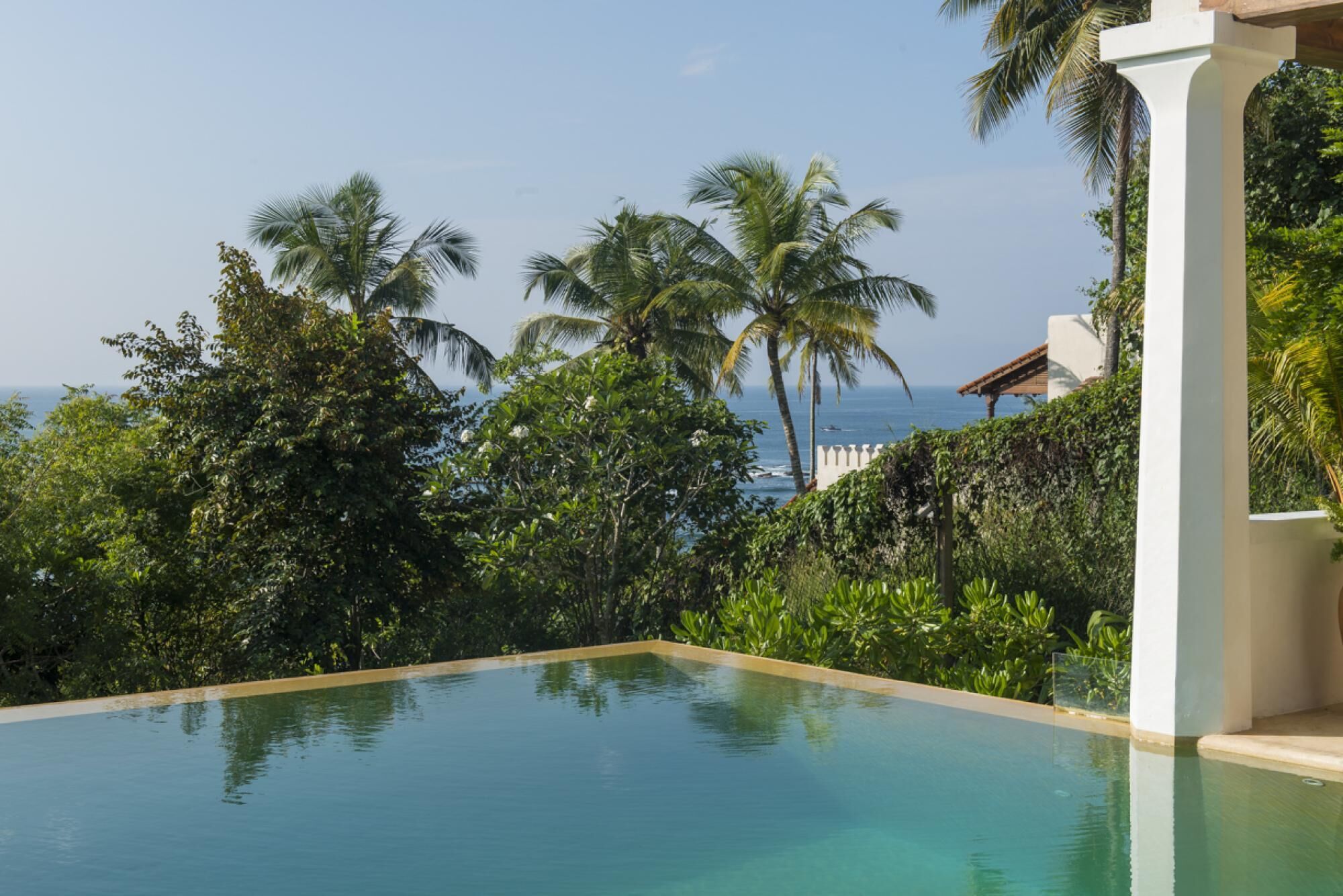 Una piscina infinita con vistas claras al océano y palmeras.