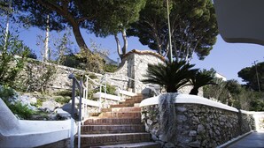 A stone staircase leading up to a building with a white railing, surrounded by trees and greenery. - Villa Olivella by Elite Villas (Anacapri)