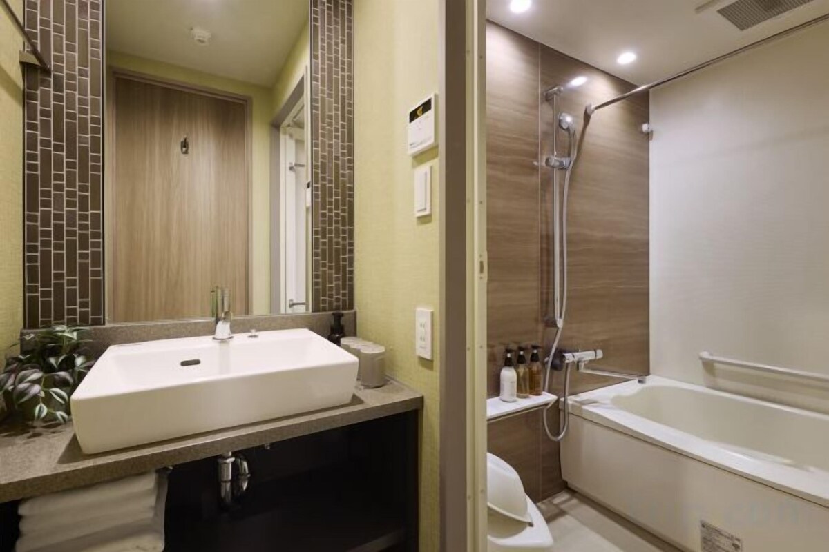 Hair dryer, slippers, bidet, towels