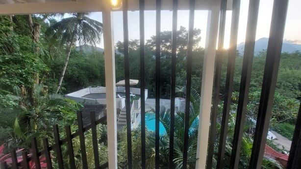 Een balkon met uitzicht op een zwembad, omgeven door weelderige begroeiing.