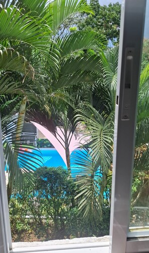 Une vue à travers une fenêtre, avec un palmier et un bâtiment doté d’un toit bleu.