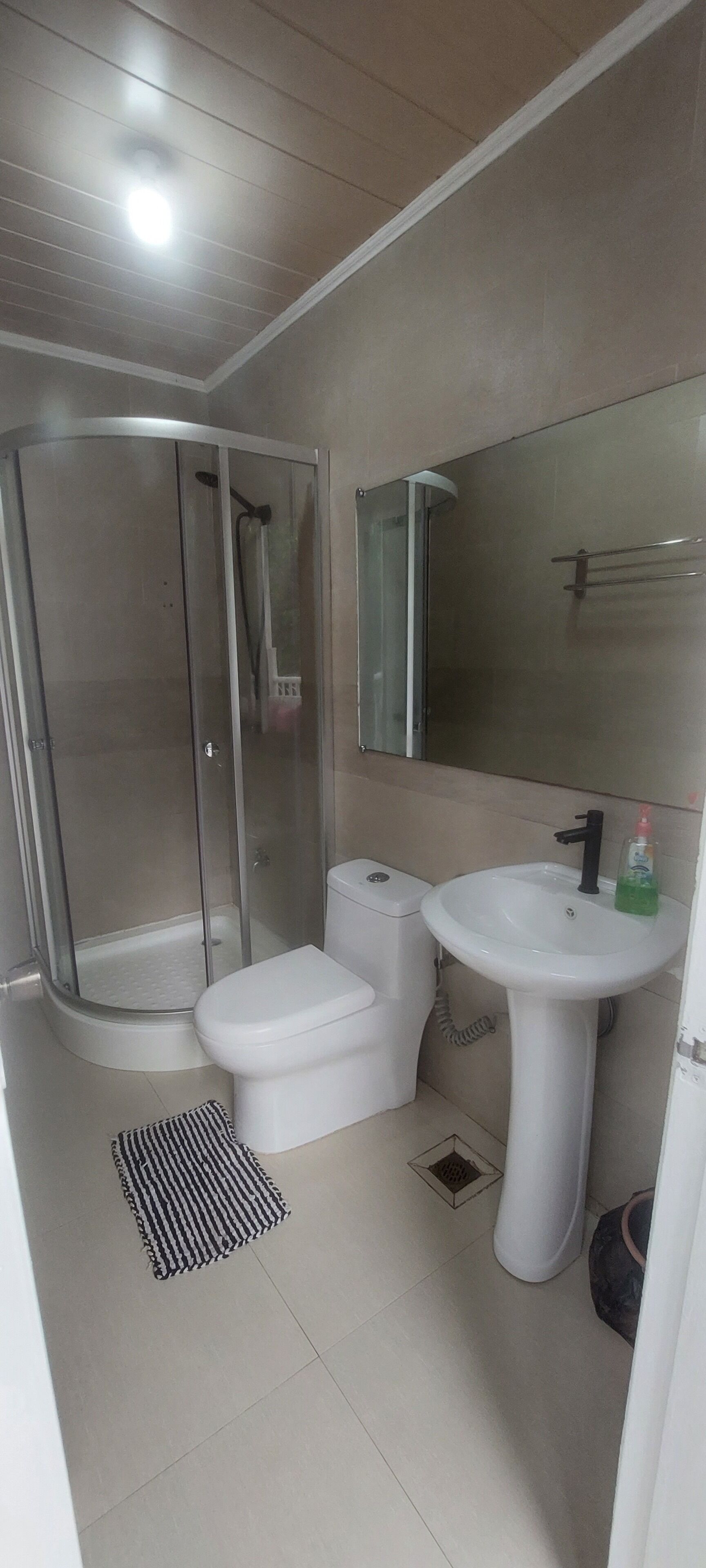 Un baño con ducha de vidrio, inodoro y lavamanos con espejo superior.