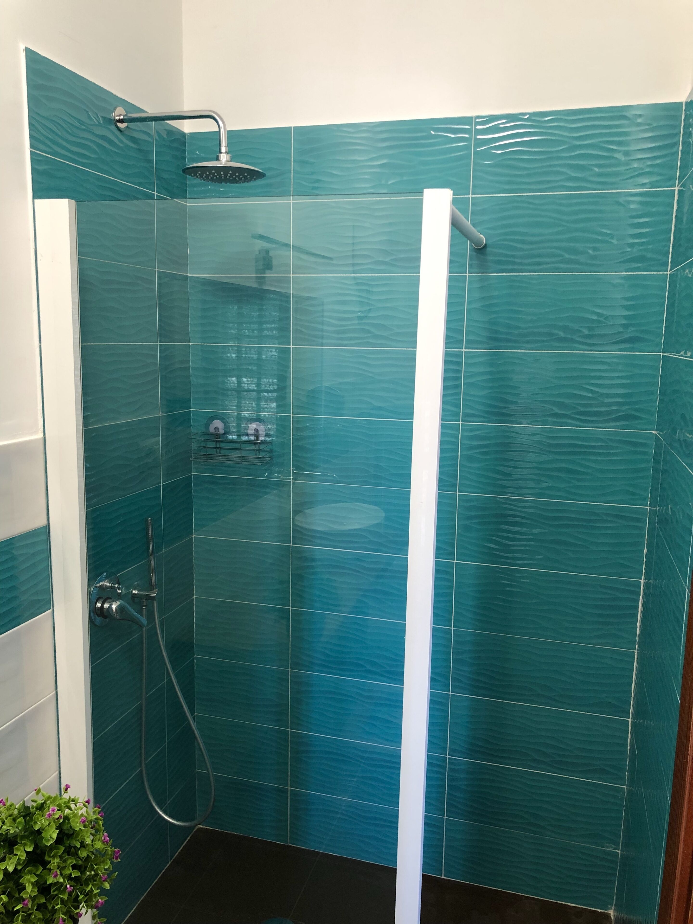 A glass-enclosed shower with a white vertical bar, teal patterned tiles, and a small plant by the door.