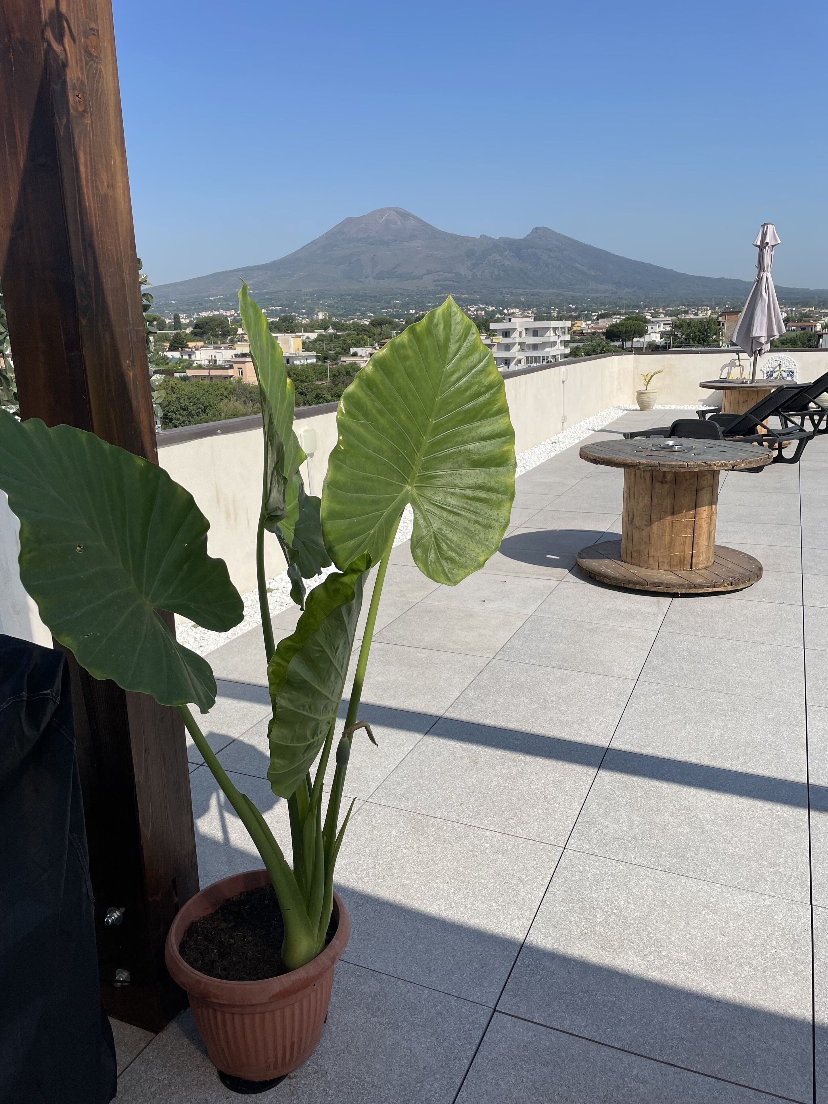 Foto - B&b Pompei Window