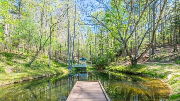 A wooden dock extending into a calm river surrounded by lush greenery and trees.