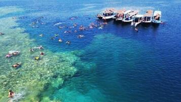 A clear view of a coastal area with boats and people swimming in the water.