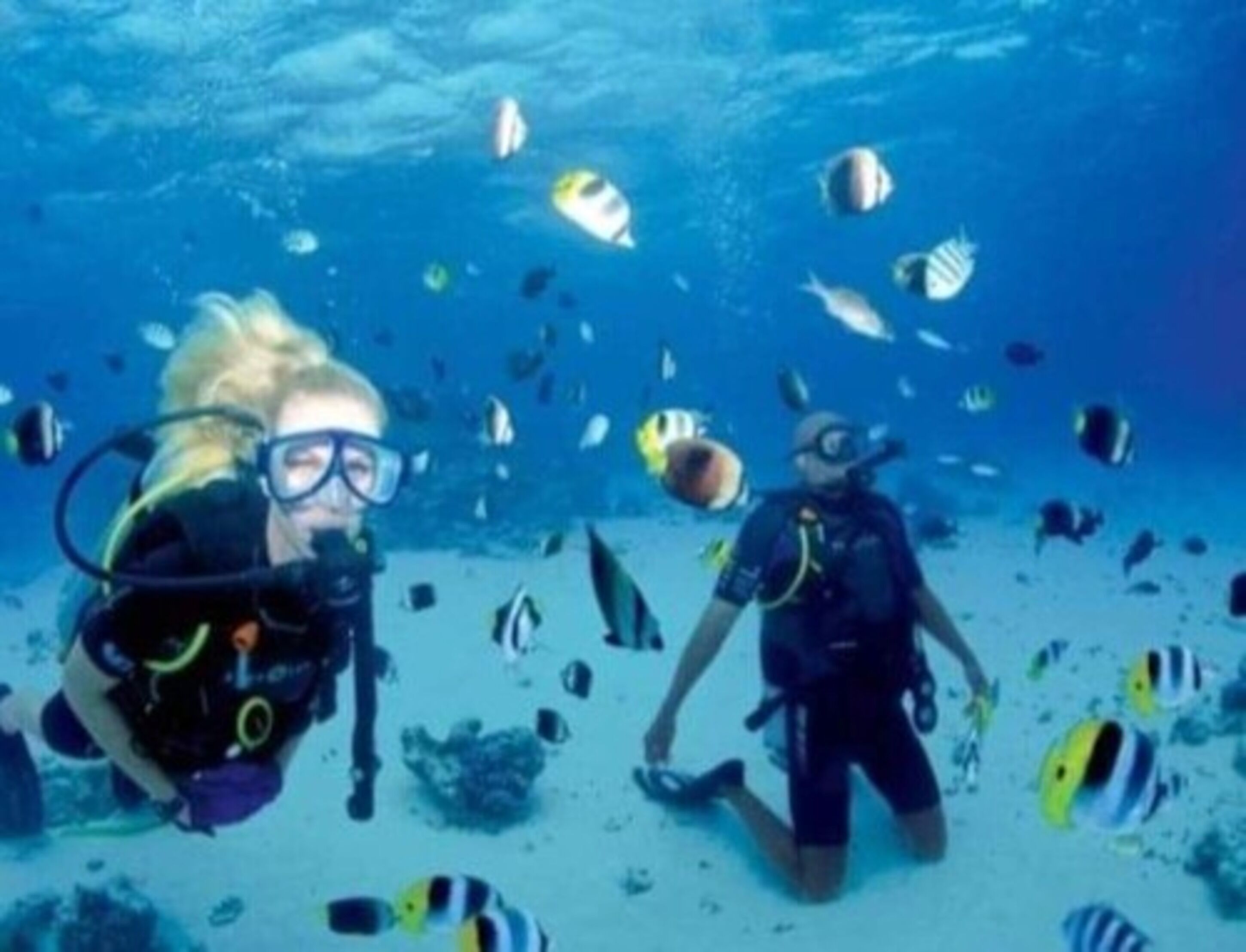 Two divers underwater surrounded by various fish.