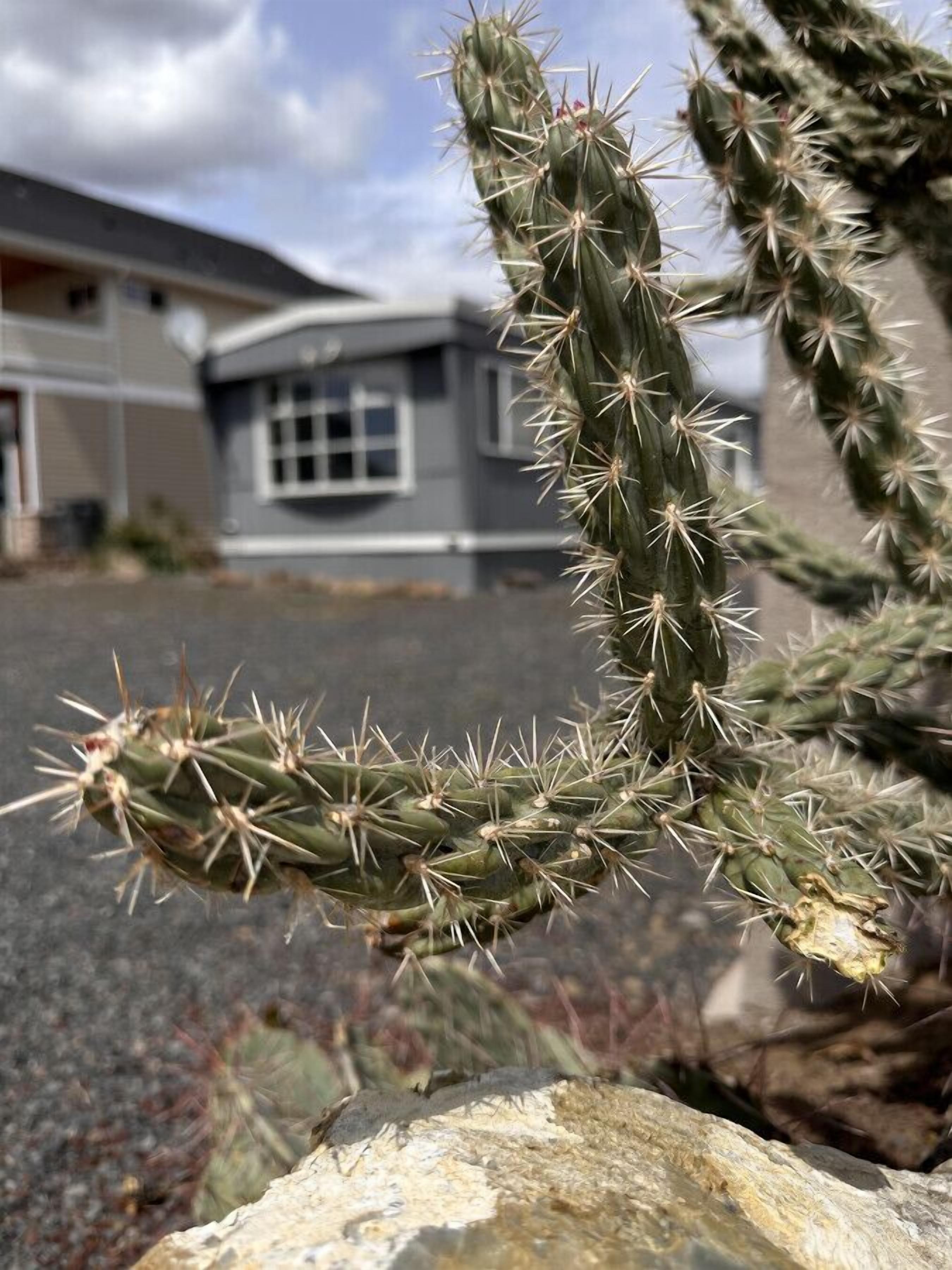 2 bed & 1 bath home 5 miles from THE GORGE