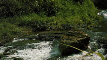 Un río con agua corriente, rodeado de follaje y rocas.