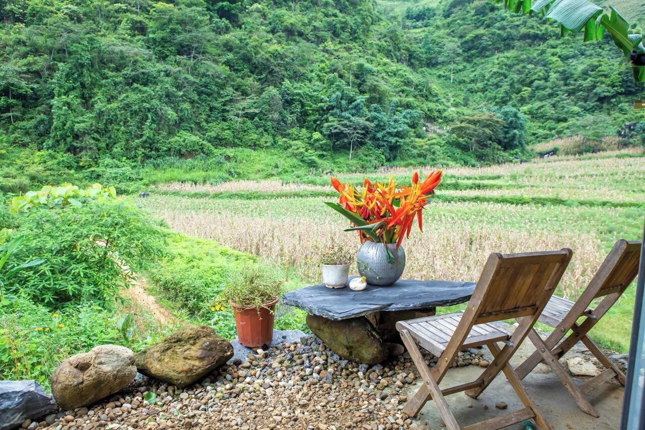 Design Room | Terrace/patio