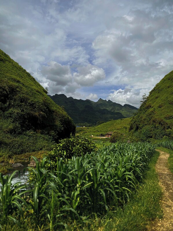 Un paysage rural avec un chemin de terre, une végétation luxuriante et des montagnes à l’horizon.