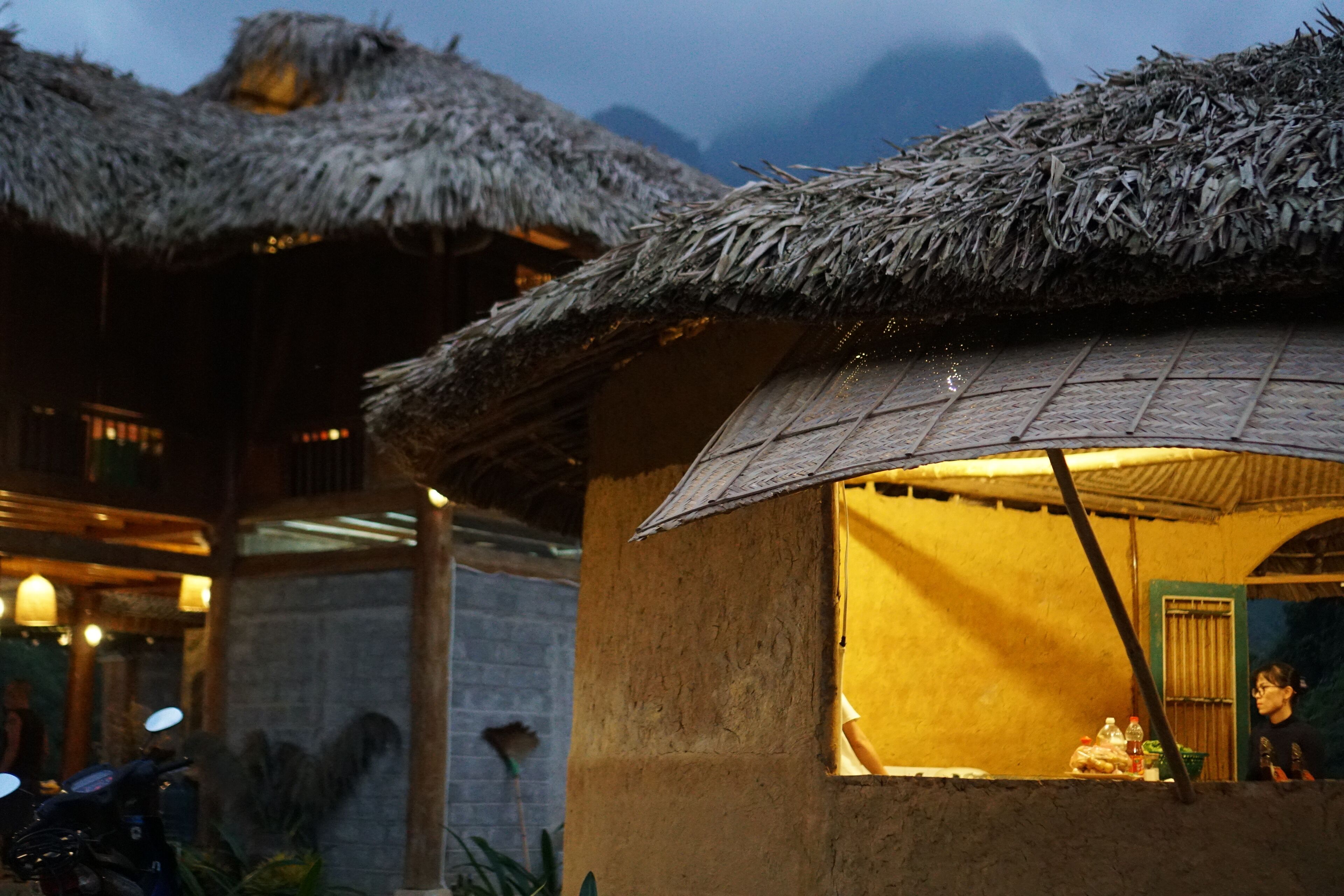 A rustic hut with a thatched roof, a small window, and a person inside.
