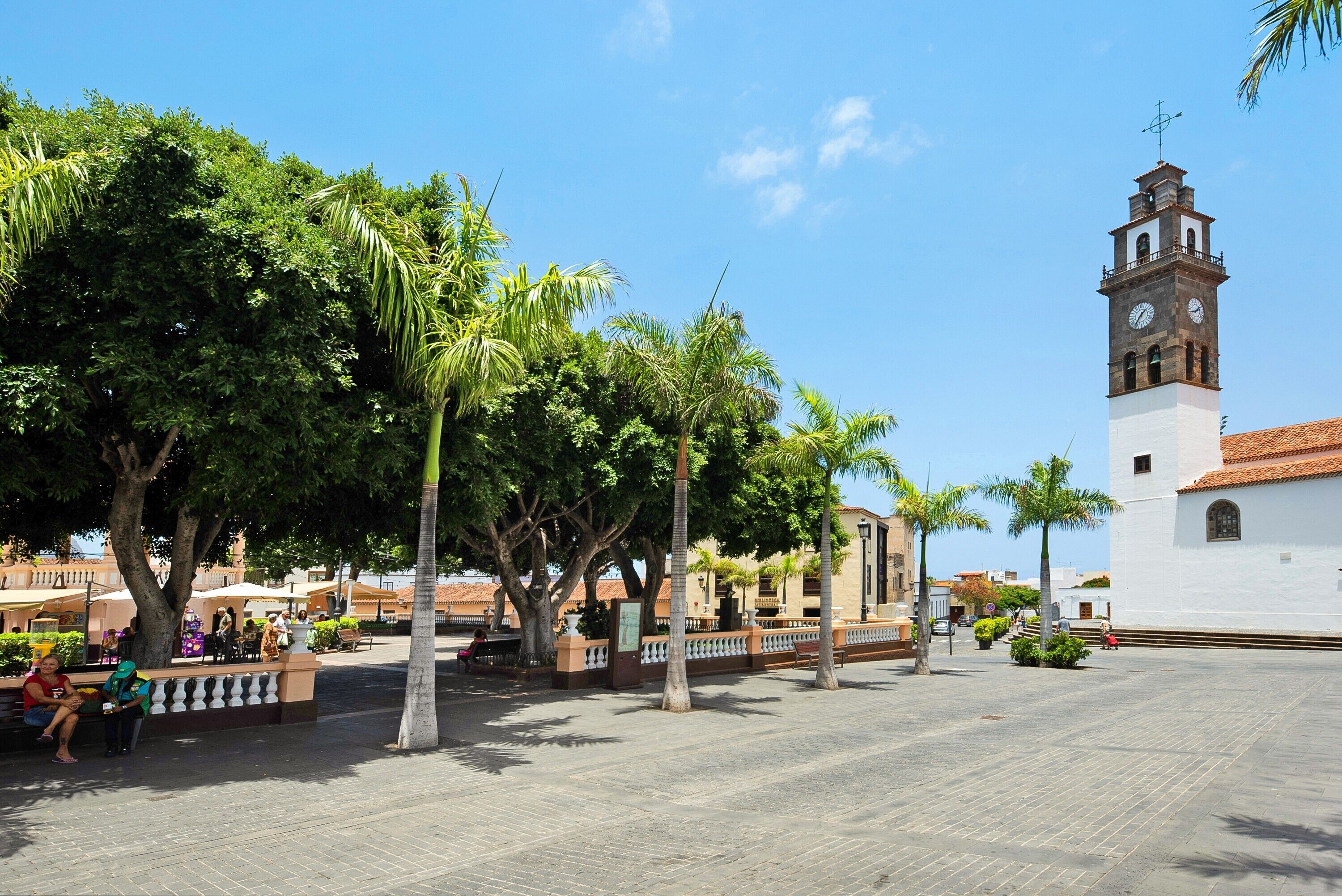 Una plaza con una torre del reloj, palmeras y un edificio blanco.
