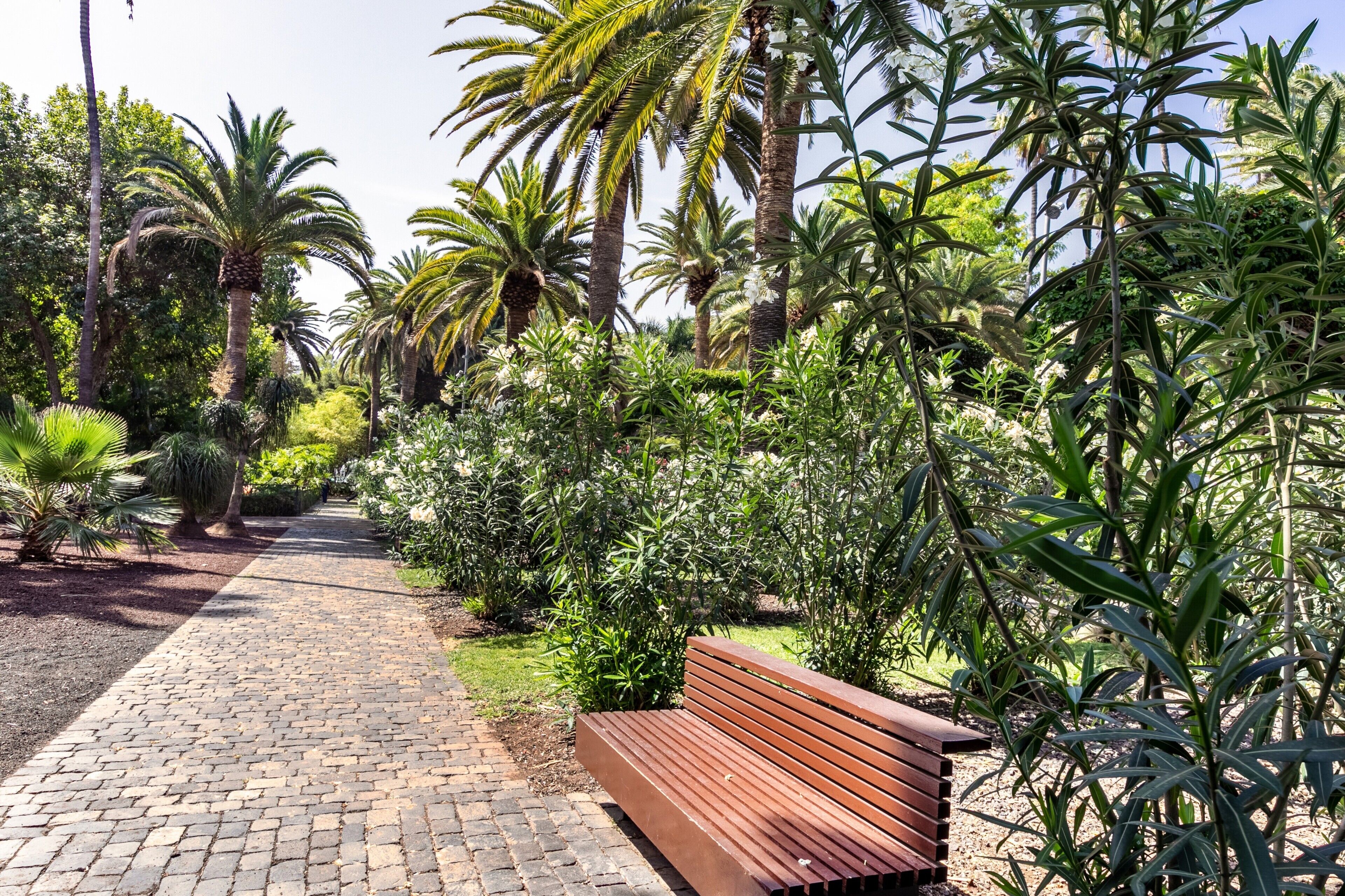 Parco della struttura