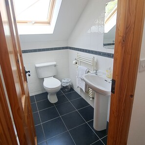 A small bathroom with a toilet, sink, and a skylight. - Kilkee Townhouse (Kilkee)
