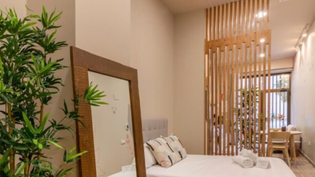 Une chambre à coucher avec un lit, un miroir, une plante en pot et un tapis gris.