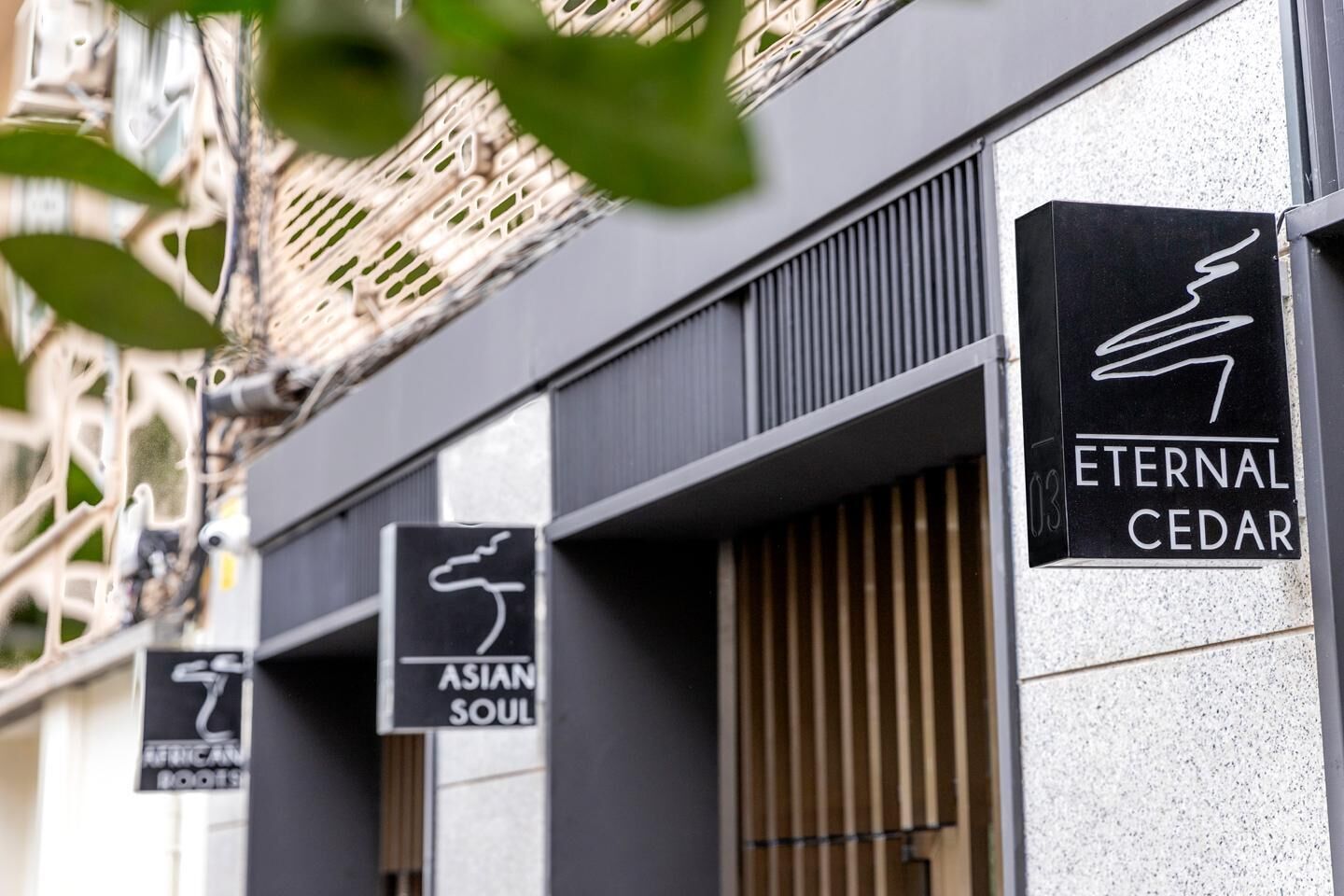 Gardens '03 Eternal Cedar' by Art Lofts