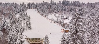 Mountain-Rest Pension