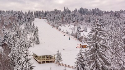 Mountain-Rest Pension