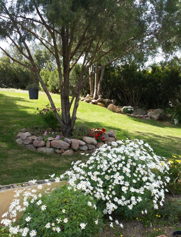 Property grounds - 3 bedroom private vacation home in pula (Pula)