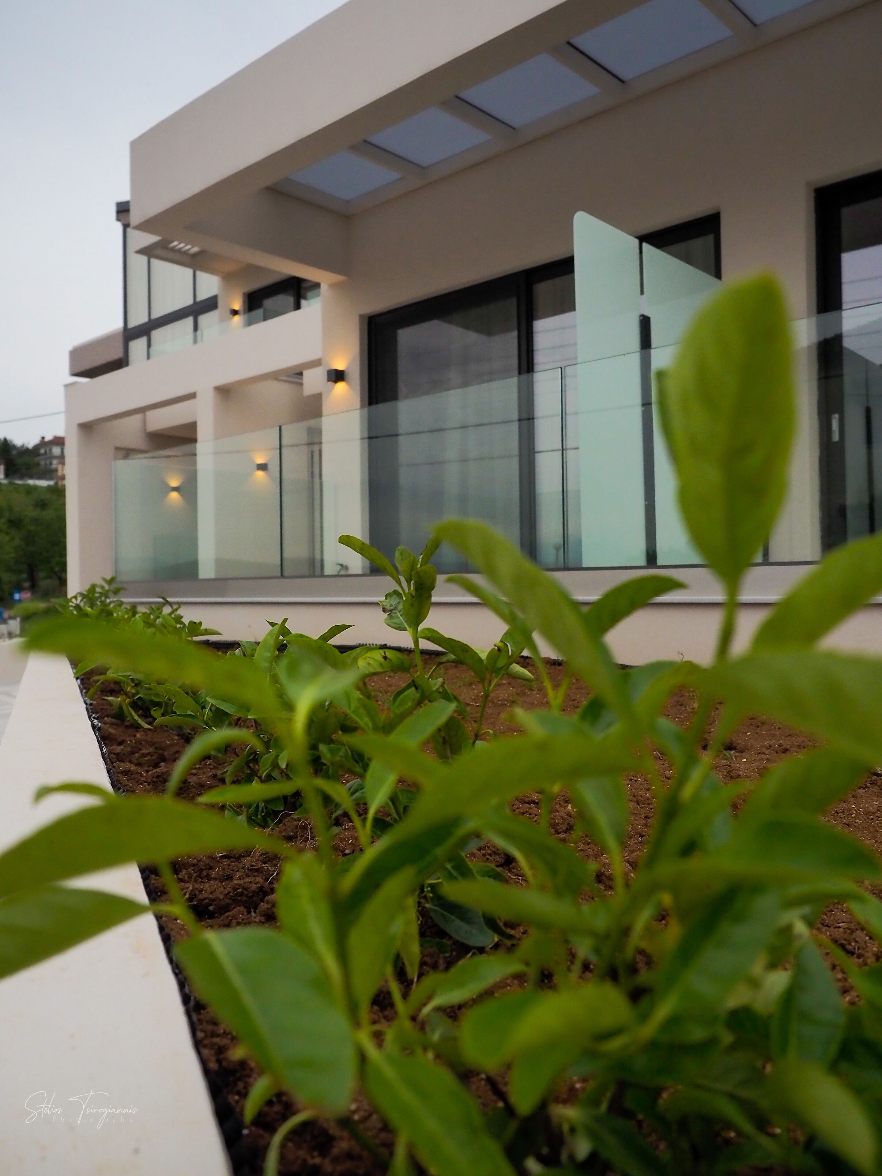 A modern building with large glass windows and a rooftop garden.