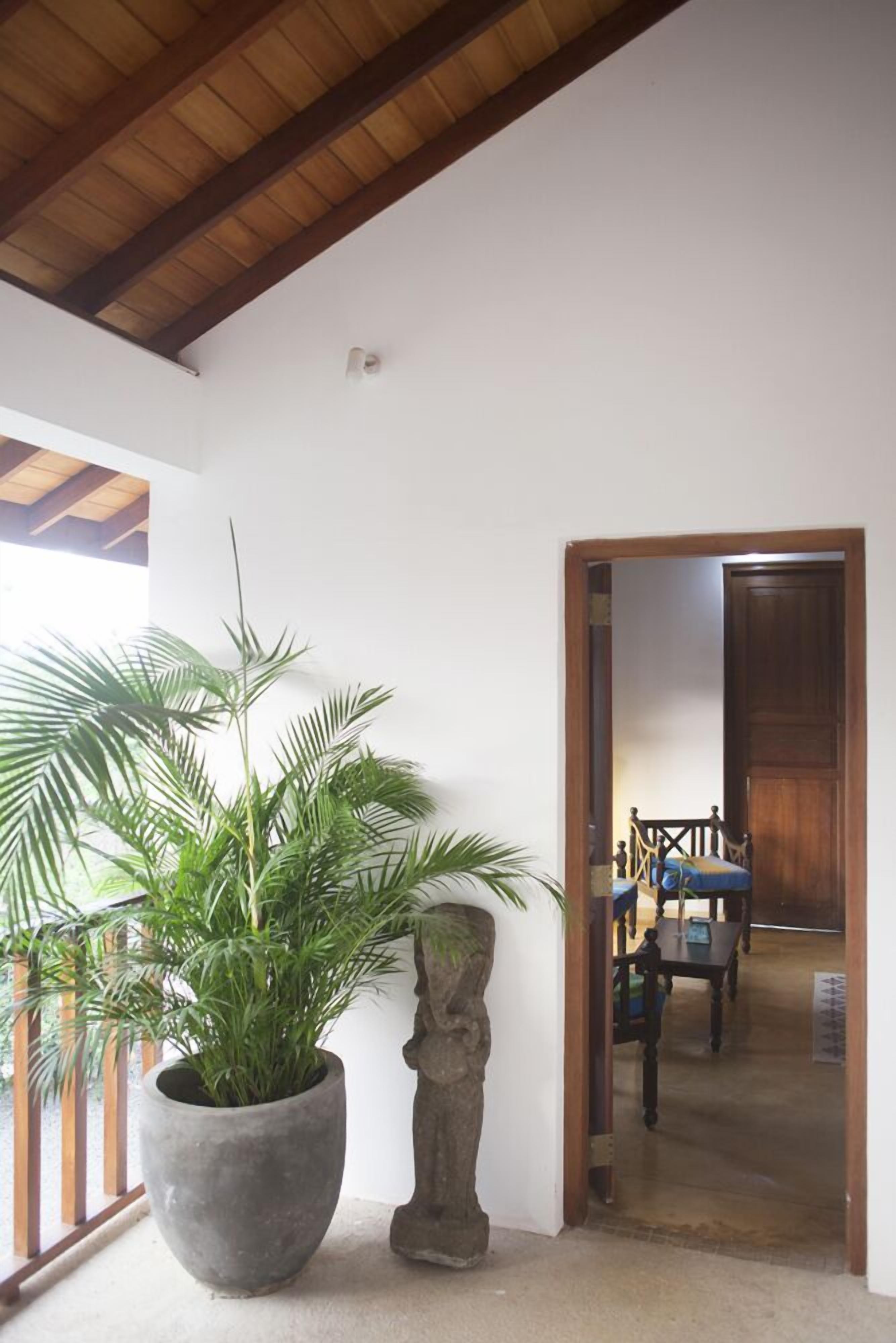 A room with a large potted plant, a stone sculpture, and a wooden door leading to another room.