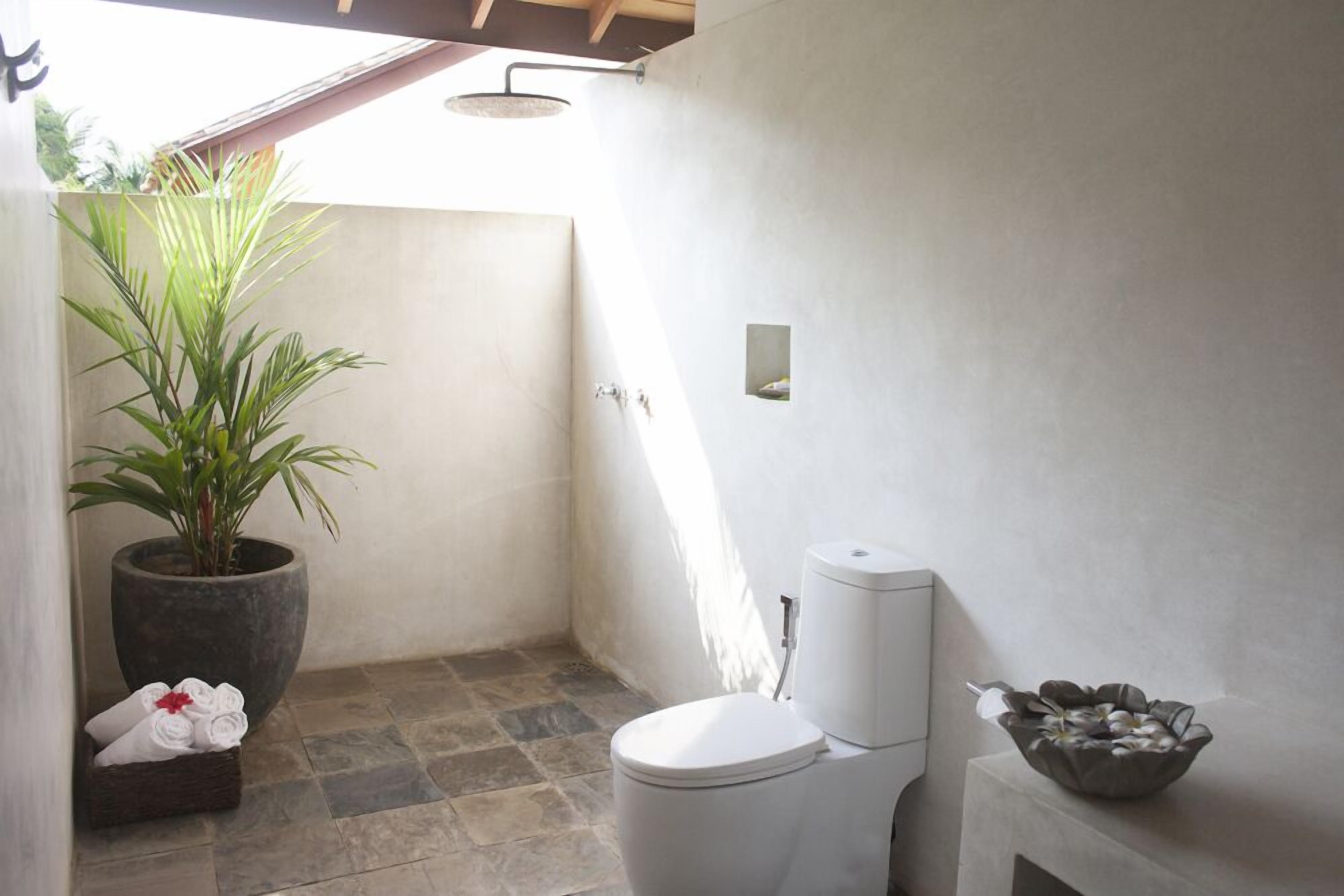 A modern bathroom with a shower, toilet, and a large potted plant.