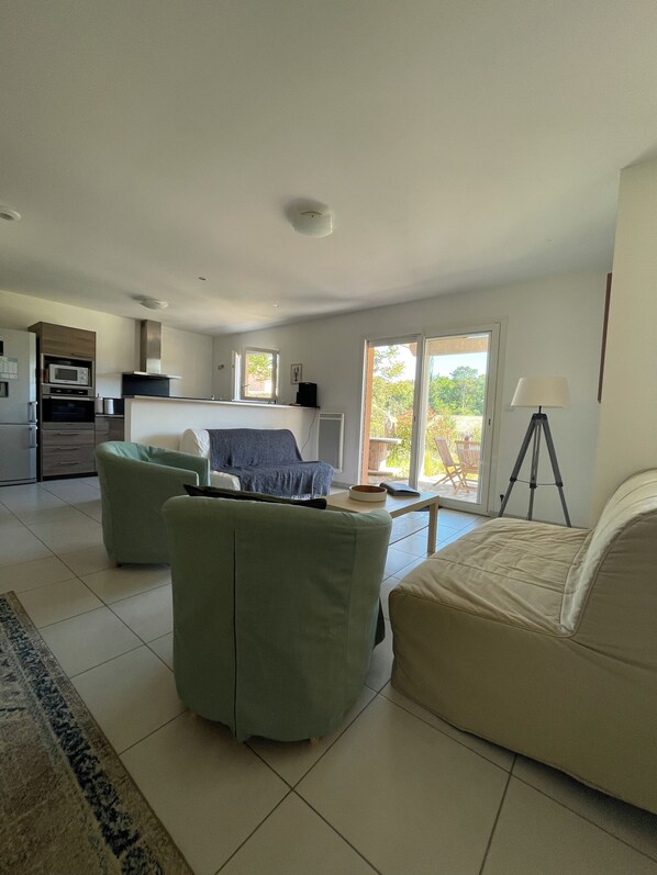 Televisio, takka, DVD-soitin, kirjoja